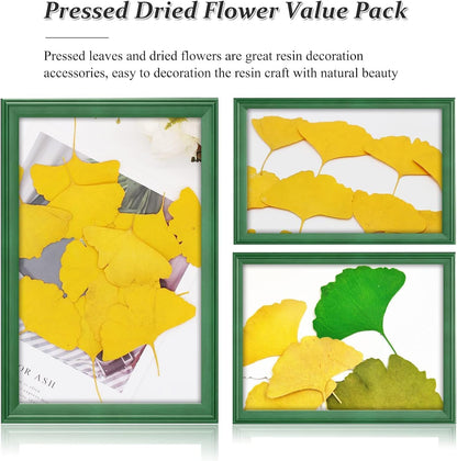 Yellow Dried Ginkgo Leaves for Resin, 42PCS Natural Dry Pressed Ginkgo Leaf for Epoxy Resin Mold Jewelry Card Making Scrapbooking DIY Art Crafts Table Wedding Party Meeting Room Decor