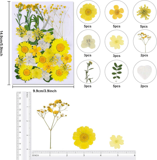 Dried Pressed Flowers - Real Natural Colorful Dry Flowers for Resin Jewelry Nail Art Craft DIY (Yellow)