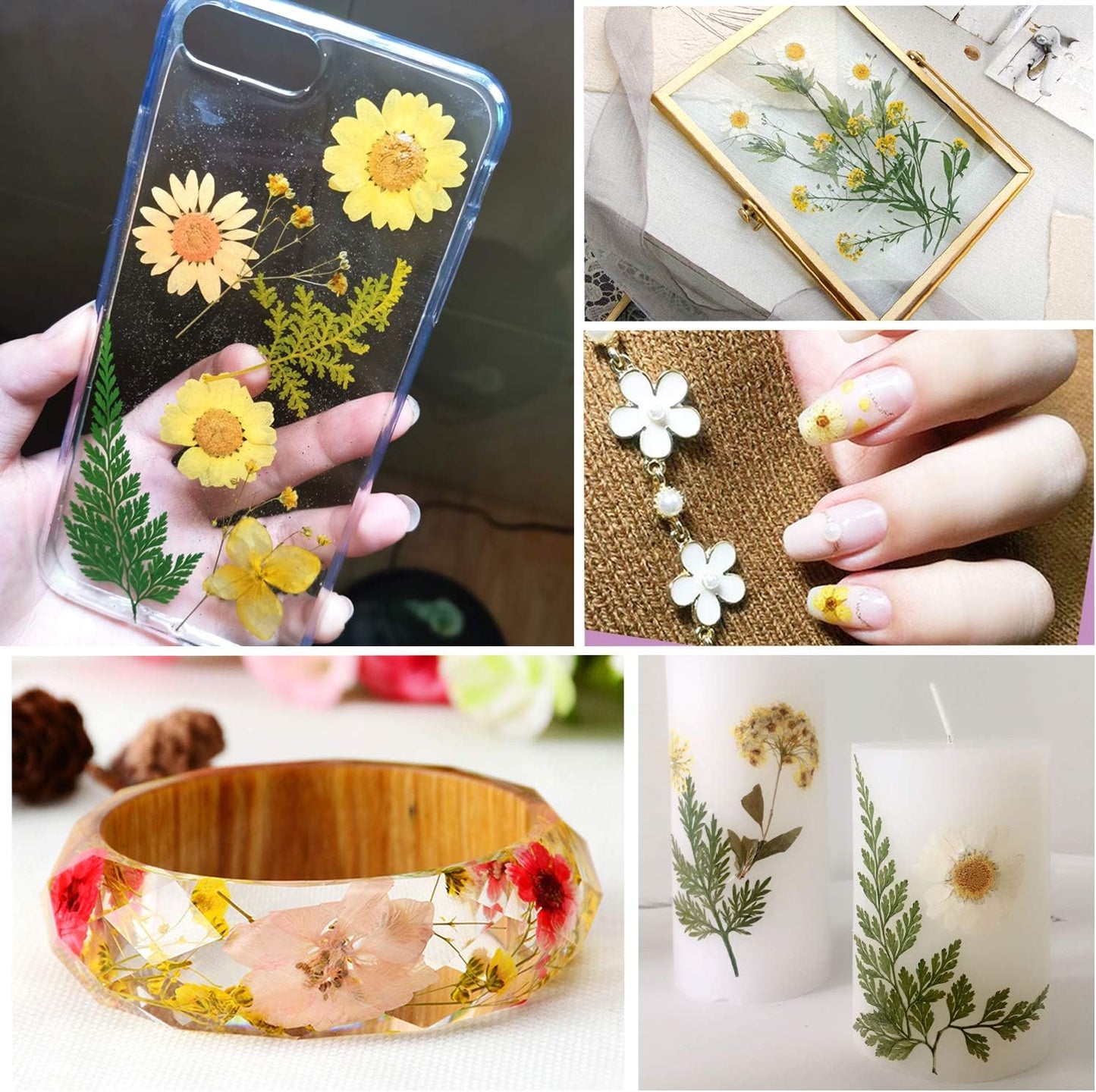 Dried Pressed Flowers - Real Natural Colorful Dry Flowers for Resin Jewelry Nail Art Craft DIY (Yellow)