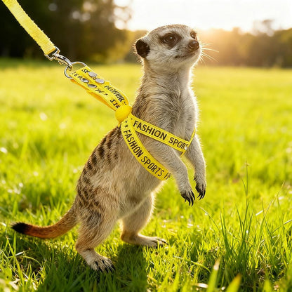 Pet Adjustable Escape Proof Harness and Leash Set for Small Animals, Escape Resistant Figure 8 Harness for Ferret, Meerkat, Groundhog, Guinea Pig, Hedgehog - Small to Medium Size Rabbit (Yellow)