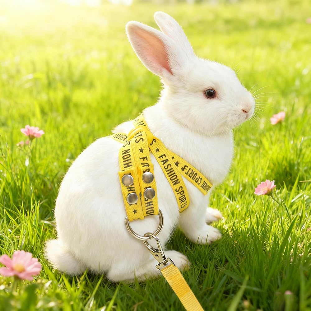 Pet Adjustable Escape Proof Harness and Leash Set for Small Animals, Escape Resistant Figure 8 Harness for Ferret, Meerkat, Groundhog, Guinea Pig, Hedgehog - Small to Medium Size Rabbit (Yellow)