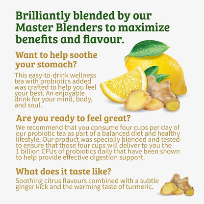 Superblends Probiotics+ Lemon & Ginger Flavoured Herbal Tea with Turmeric, Caffeine-Free, 18 Count (Pack of 1), Enjoy Hot or Iced, 18 Teabags