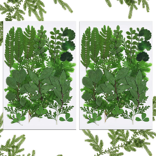 42 Pcs Dried Pressed Leaves for Resin, Real Assorted Dry Leaves | 7 Styles Green Leaves, Dried Greenery for Crafts Bulk, for Resin Jewelry, Making Candle, Floral Decors