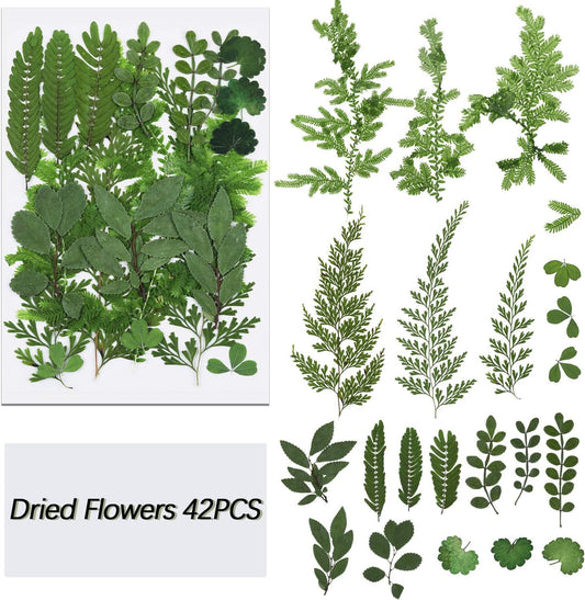 42 Pcs Dried Pressed Leaves for Resin, Real Assorted Dry Leaves | 7 Styles Green Leaves, Dried Greenery for Crafts Bulk, for Resin Jewelry, Making Candle, Floral Decors