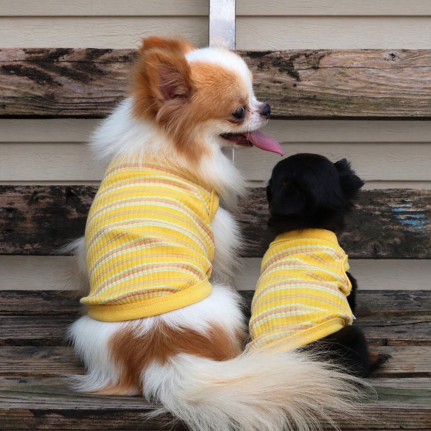 100% Cotton Rib Dog Tank Top Vest - Stretchy Breathable Soft Pet Apparel for Teacup Chihuahua Yorkie Puppies - Indoor Outdoor Casual Wear (Yellow, XS | 1.2-2.2 lbs)