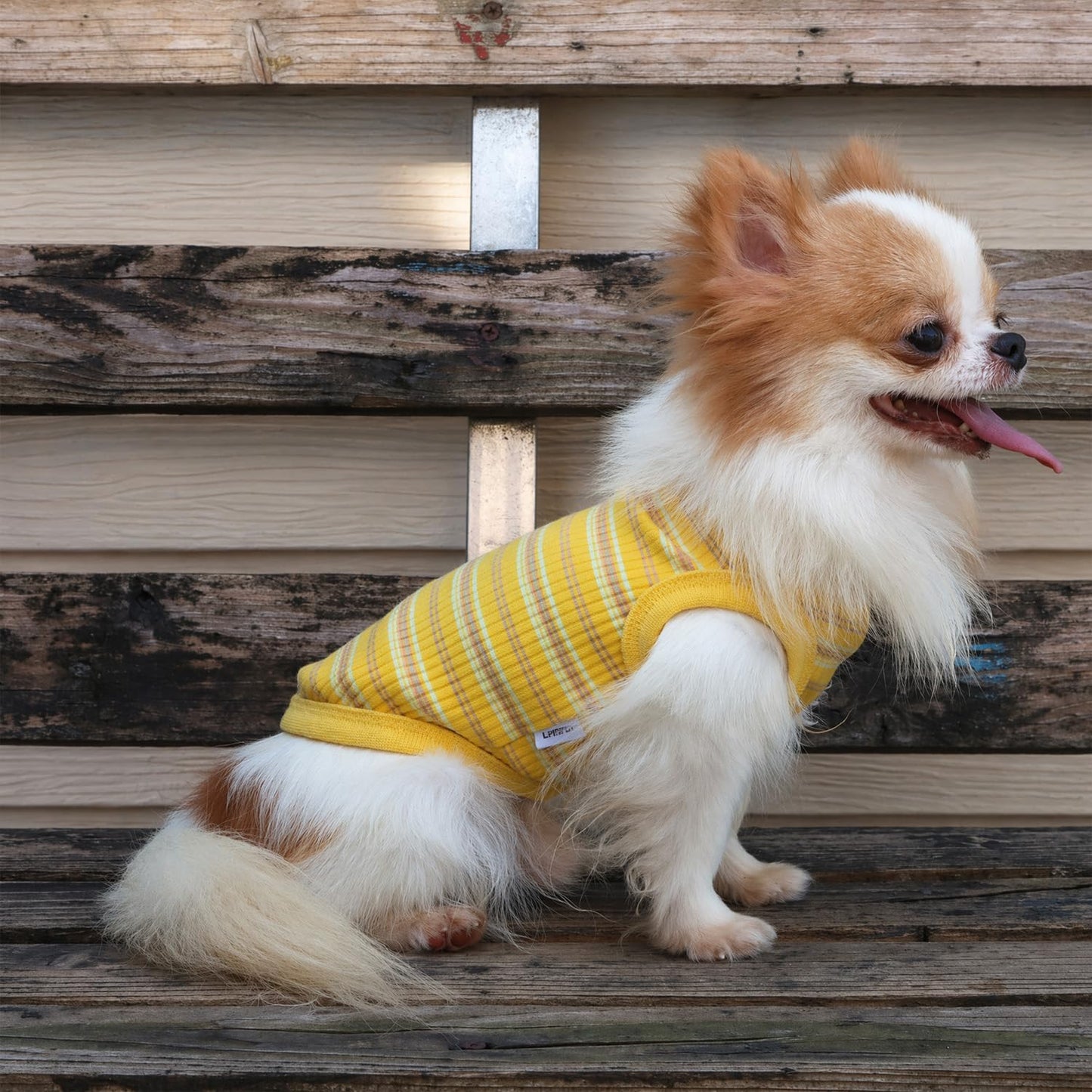 100% Cotton Rib Dog Tank Top Vest - Stretchy Breathable Soft Pet Apparel for Teacup Chihuahua Yorkie Puppies - Indoor Outdoor Casual Wear (Yellow, XS | 1.2-2.2 lbs)