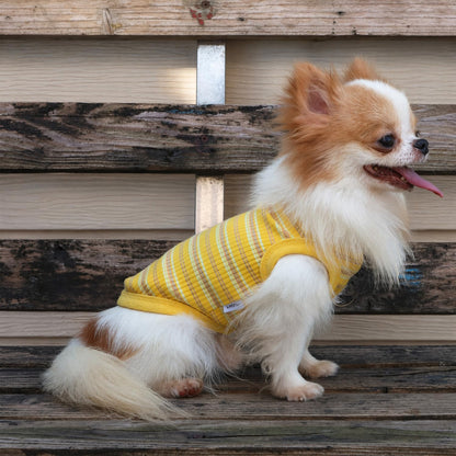 100% Cotton Rib Dog Tank Top Vest - Stretchy Breathable Soft Pet Apparel for Teacup Chihuahua Yorkie Puppies - Indoor Outdoor Casual Wear (Yellow, XS | 1.2-2.2 lbs)