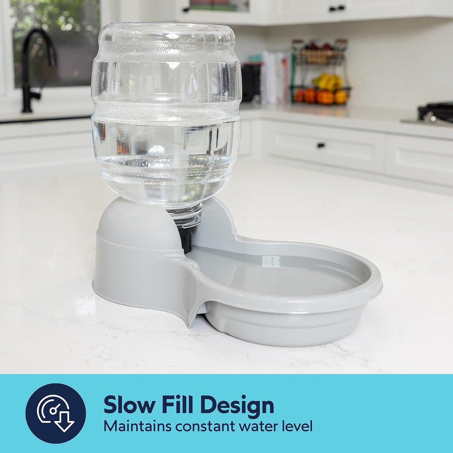 Aspen Pet Lebistro Water Dispenser for Cats and Dogs, 1 Gal Size | Gravity fed reservoir, reduces daily refills, USA made, wide basin, suits multiple pets sharing one feeding area each day