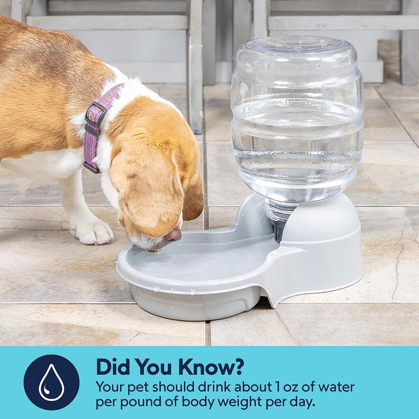 Aspen Pet Lebistro Water Dispenser for Cats and Dogs, 1 Gal Size | Gravity fed reservoir, reduces daily refills, USA made, wide basin, suits multiple pets sharing one feeding area each day