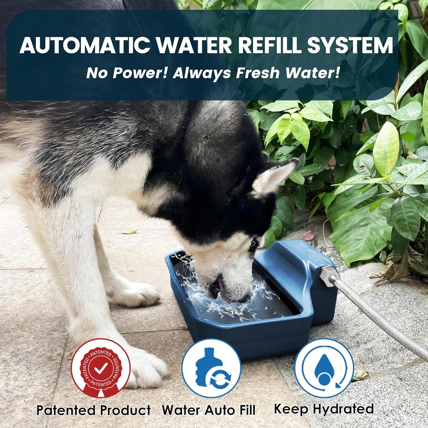 Automatic Water Dispenser for Dogs/Cats, 1 Gallon Auto-Fill Dog Water Bowl Dispenser for Indoor/Outdoor, Large Water Feeder for Pets/Livestock, BPA-Free, Wide Mouth, Fits GHT 3/4" Faucet, Blue
