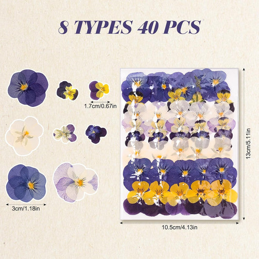 40 Pcs 8 Kinds Natural Dried Pressed Edible Flower Cupcake Toppers Purple Small Flat Cake Topper Decorating for Cocktails Resin Jewelry Making DIY Art Crafts Birthday Anniversary Decoration Supplies