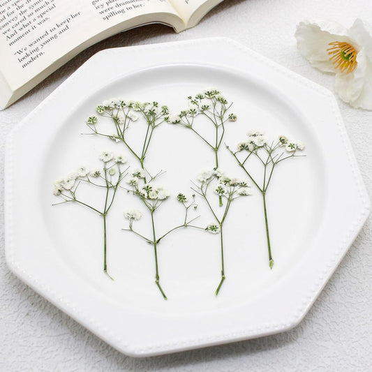 24pcs Pressed Flowers for Wax Seal Wedding invations, Real Natural Dried Flowers for Crafts Greeting Cards, Gift Box, Baby Shower, Wedding Decor (White Babys Breath)