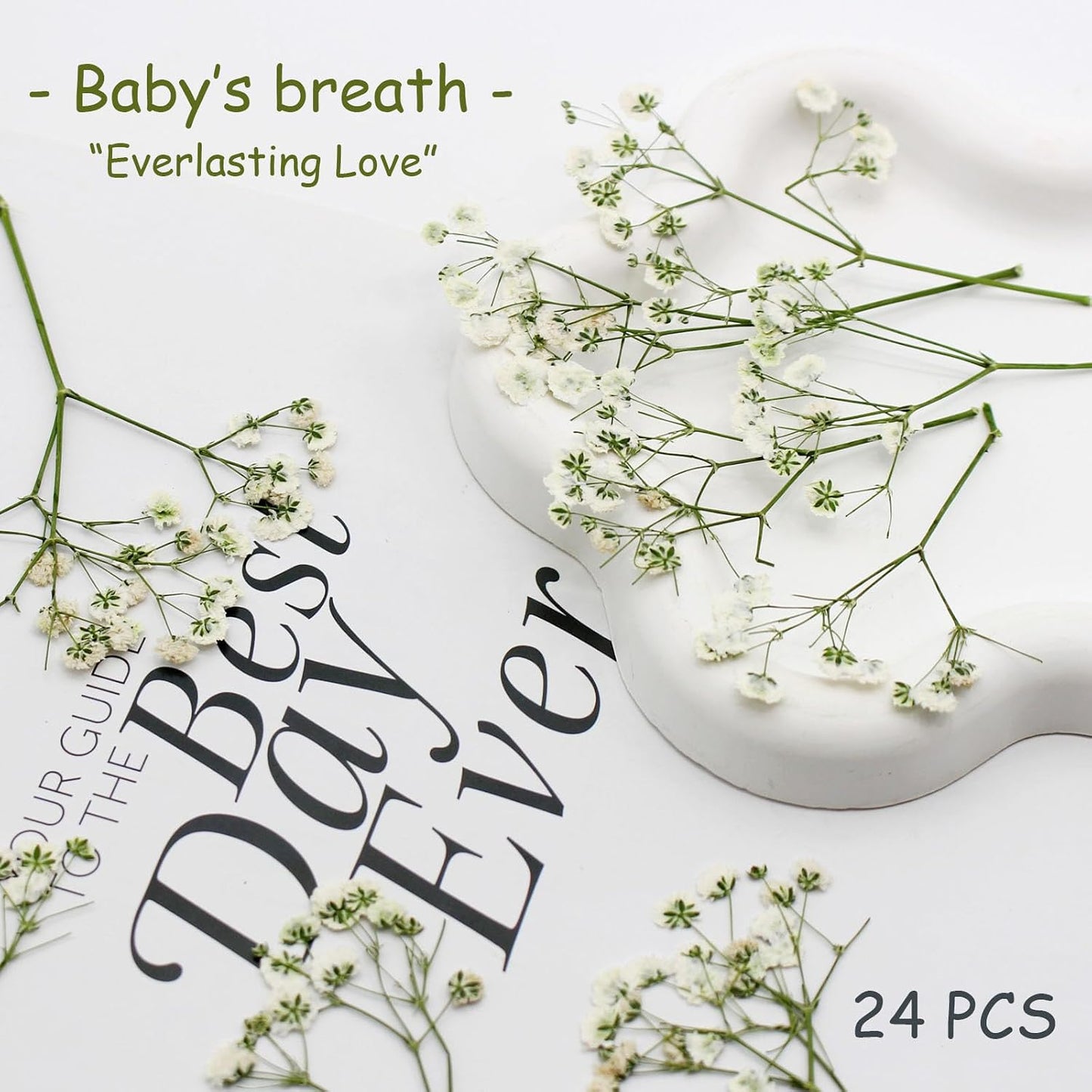 24pcs Pressed Flowers for Wax Seal Wedding invations, Real Natural Dried Flowers for Crafts Greeting Cards, Gift Box, Baby Shower, Wedding Decor (White Babys Breath)