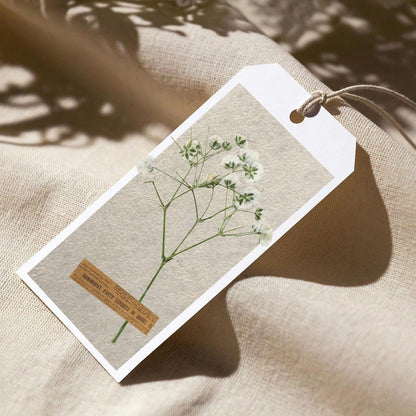 24pcs Pressed Flowers for Wax Seal Wedding invations, Real Natural Dried Flowers for Crafts Greeting Cards, Gift Box, Baby Shower, Wedding Decor (White Babys Breath)