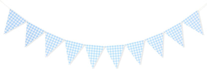 Yellow Gingham Flag Banner - Baby Shower Party Decorations,Gingham Pennant Flags,Nursery Decor Bunting,Gender Reveal Banner(yellow)