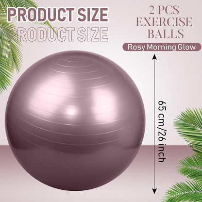 2 Pcs Exercise Ball Yoga Ball with Pump 26 Inches/ 65 cm for Workout Pregnancy Stability Anti Burst Birthing Fitness Improved Posture, Balance, Yoga, Pilates, Training