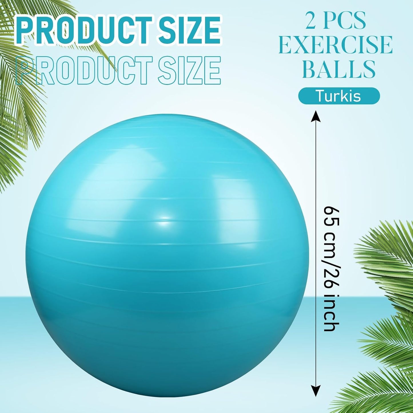 2 Pcs Exercise Ball Yoga Ball with Pump 26 Inches/ 65 cm for Workout Pregnancy Stability Anti Burst Birthing Fitness Improved Posture, Balance, Yoga, Pilates, Training