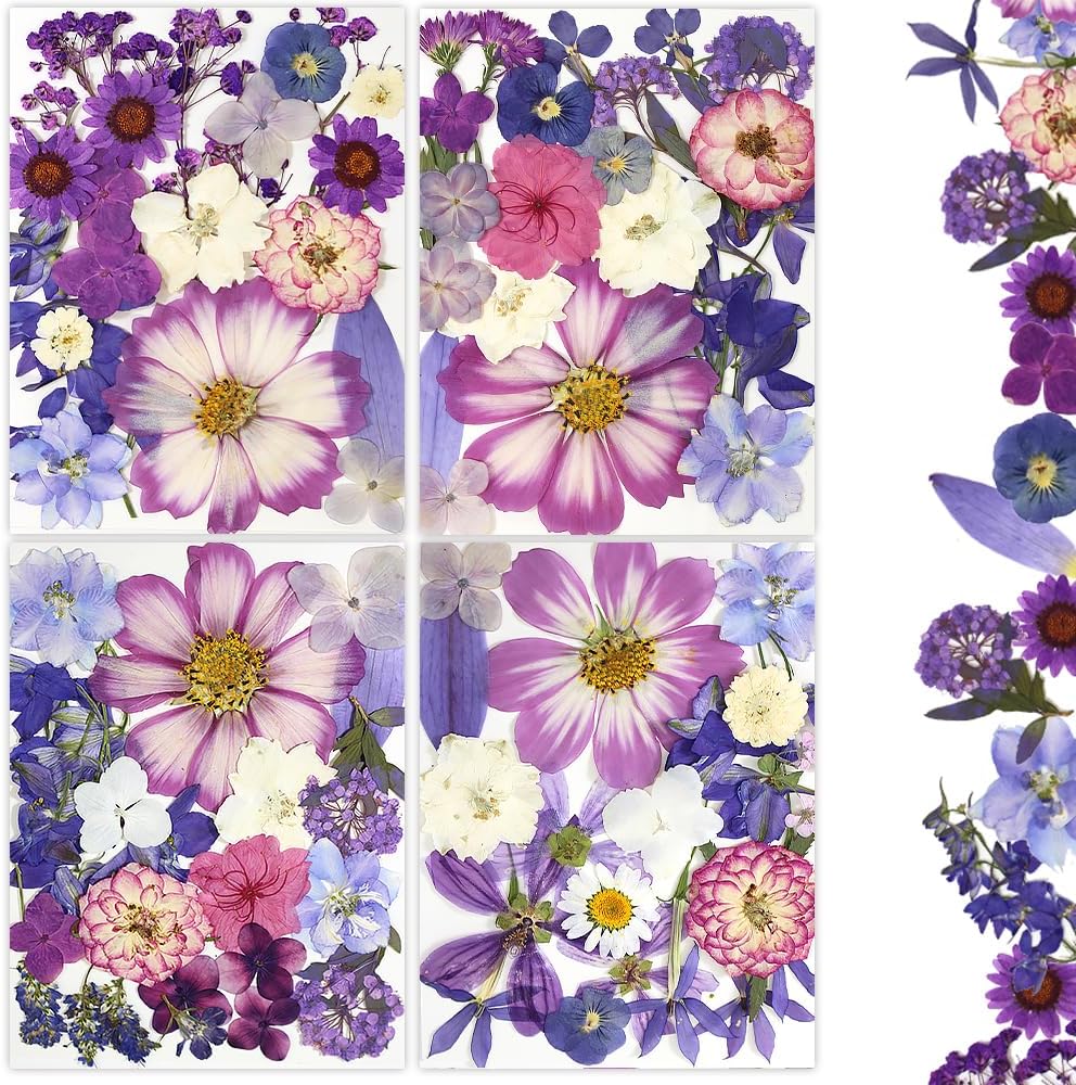 80Pcs Dried Pressed Flowers Purple, Real Natural Bulk Pressed Flowers for Epoxy Resin Nail Art Scrapbooking Candle Holders Jewelry Making DIY Crafts Pressed Flowers Kit Purple