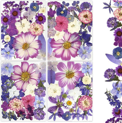 80Pcs Dried Pressed Flowers Purple, Real Natural Bulk Pressed Flowers for Epoxy Resin Nail Art Scrapbooking Candle Holders Jewelry Making DIY Crafts Pressed Flowers Kit Purple