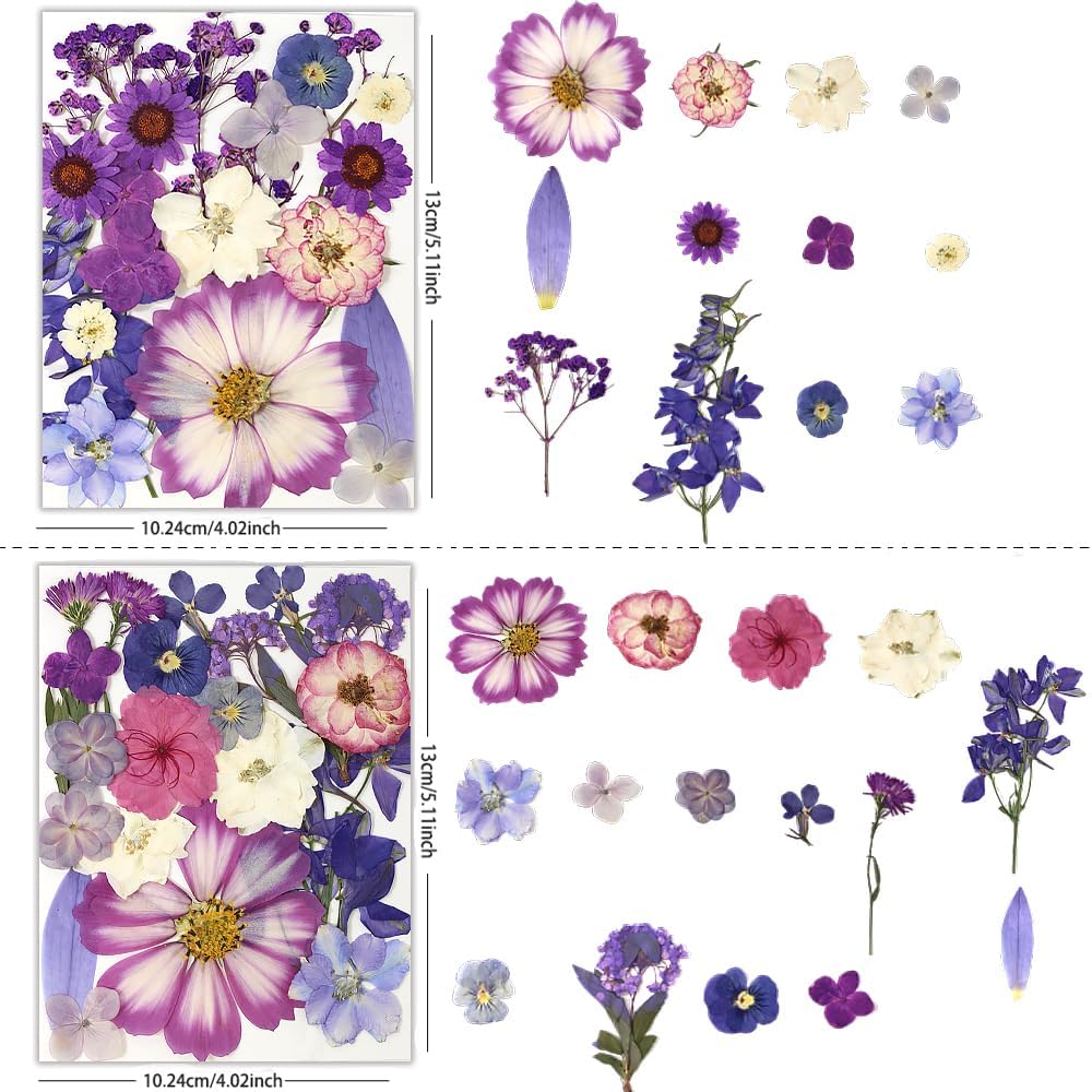 80Pcs Dried Pressed Flowers Purple, Real Natural Bulk Pressed Flowers for Epoxy Resin Nail Art Scrapbooking Candle Holders Jewelry Making DIY Crafts Pressed Flowers Kit Purple