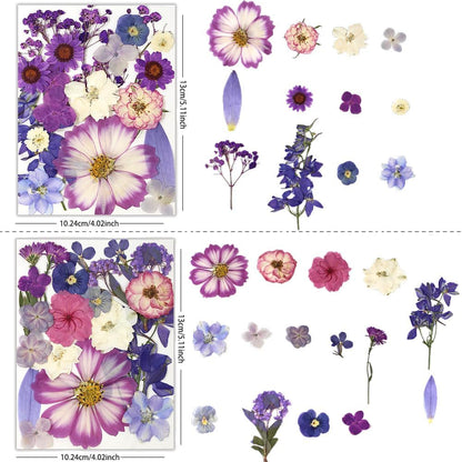80Pcs Dried Pressed Flowers Purple, Real Natural Bulk Pressed Flowers for Epoxy Resin Nail Art Scrapbooking Candle Holders Jewelry Making DIY Crafts Pressed Flowers Kit Purple