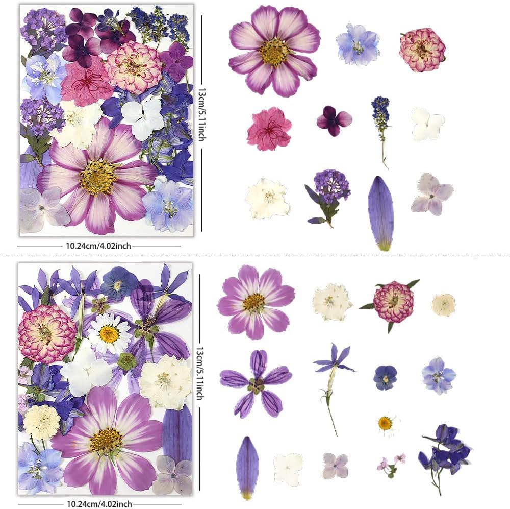 80Pcs Dried Pressed Flowers Purple, Real Natural Bulk Pressed Flowers for Epoxy Resin Nail Art Scrapbooking Candle Holders Jewelry Making DIY Crafts Pressed Flowers Kit Purple