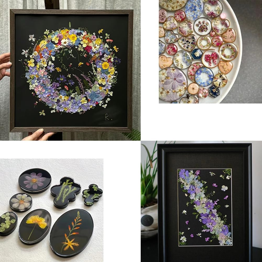 80Pcs Dried Pressed Flowers Purple, Real Natural Bulk Pressed Flowers for Epoxy Resin Nail Art Scrapbooking Candle Holders Jewelry Making DIY Crafts Pressed Flowers Kit Purple