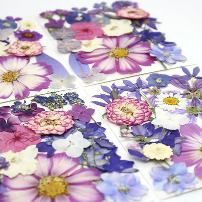 80Pcs Dried Pressed Flowers Purple, Real Natural Bulk Pressed Flowers for Epoxy Resin Nail Art Scrapbooking Candle Holders Jewelry Making DIY Crafts Pressed Flowers Kit Purple