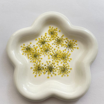 100pcs/pack Ammi majus Natural Pressed Dried Flower for Resin Jewelry Making, Soap and Candle Making, Scrapbooking DIY (Yellow)