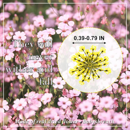 Dried Pressed Flowers for Resin Real Pressed Flowers Dry Flower Gypsophila for Scrapbooking DIY Art Crafts, Epoxy Resin Jewelry Molds, Candle, Soap Making, Nails Décor (Yellow)