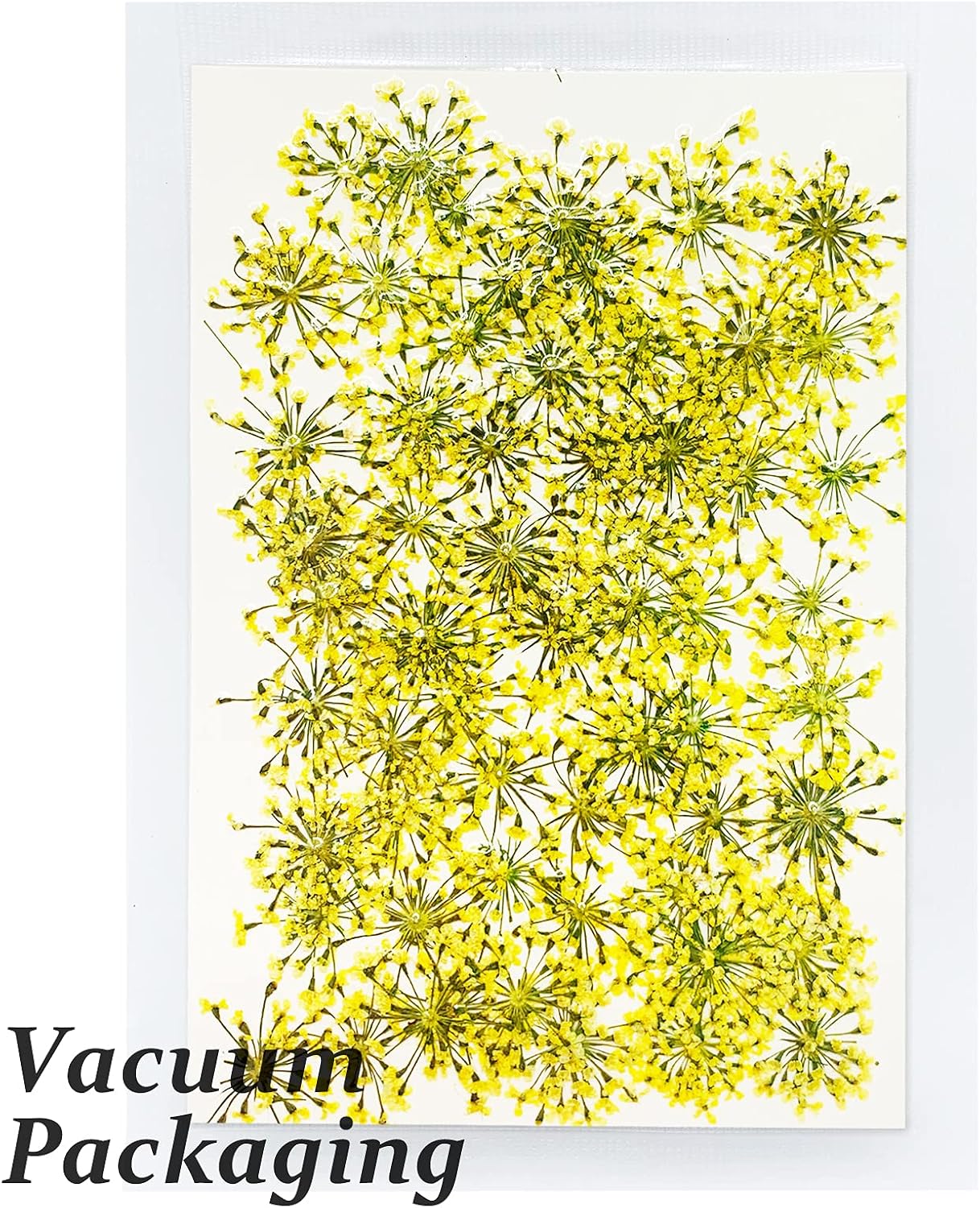 Dried Pressed Flowers for Resin Real Pressed Flowers Dry Flower Gypsophila for Scrapbooking DIY Art Crafts, Epoxy Resin Jewelry Molds, Candle, Soap Making, Nails Décor (Yellow)