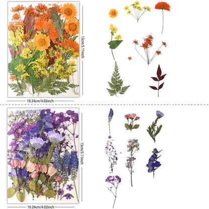 80Pcs Pressed Flowers, Dried Flowers Natural Pressed Flowers Bulk for Resin Molds, Nail Art, Scrapbooking, Candle Holder, Jewelry Making, Real Dried Pressed Flowers DIY Crafts Supplies Kit