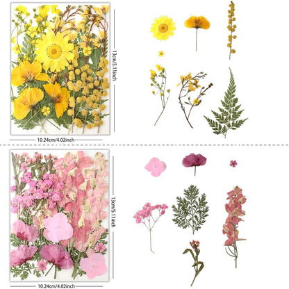 80Pcs Pressed Flowers, Dried Flowers Natural Pressed Flowers Bulk for Resin Molds, Nail Art, Scrapbooking, Candle Holder, Jewelry Making, Real Dried Pressed Flowers DIY Crafts Supplies Kit