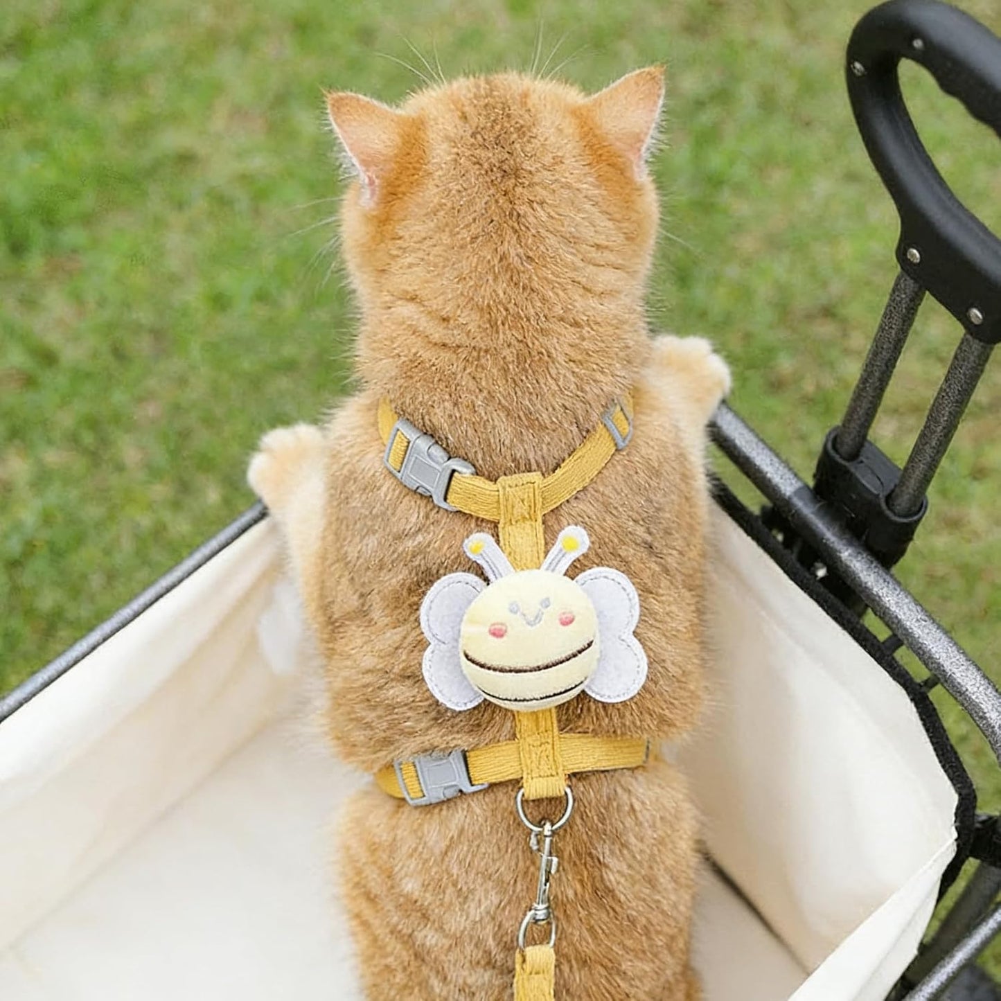 Cat Harness and Leash Set for Outdoor Travel Walking Escape Proof Soft Safe Adjustable Kitten Puppy Small Strap Kitty Cute Bee Wings Yellow S