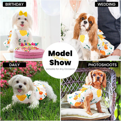 Cute Dog Dress Small Dog Clothes for Girls Female Puppy Outfits Yellow Lemon Pet Summer Clothes Bowknot Doggy Cat Princess Dress Harness for Holiday Birthday Party Costume Clothing (Yellow,S)