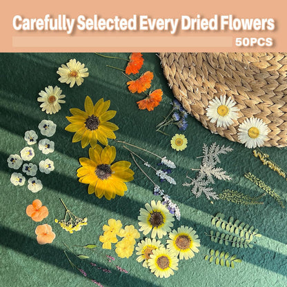 A4 Large Dried Pressed Flowers for Resin - Sunflower, Real Dry Natural Flowers & Leaves for Resin Mold, Cake, Candle Making, Phone Cases, Scrapbooking, DIY Art Crafts (Yellow)