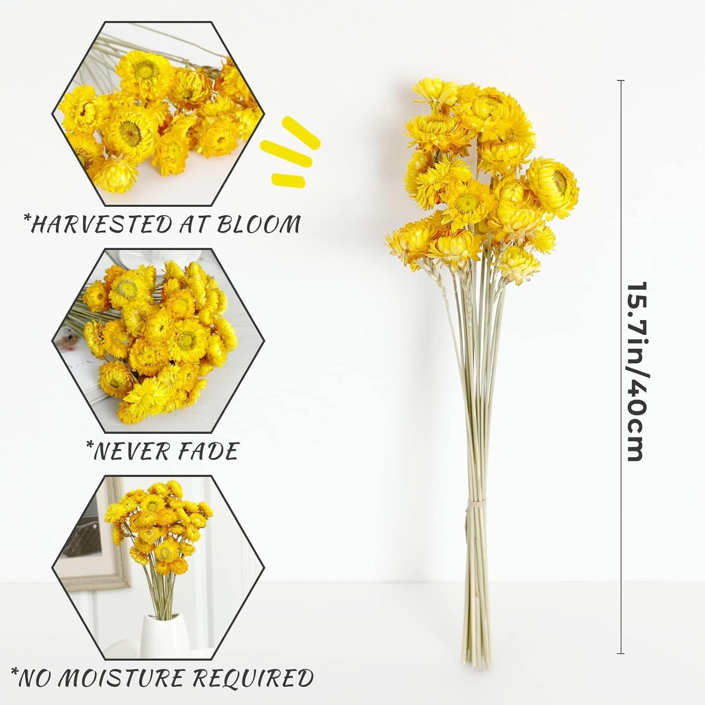 Dried Flower 40PCS Daisy Bouquet 100% Natural Chrysanthemum Dry Flower for Vase Home décor Party DIY Arrangement Wheat Straw Bulk（Yellow）