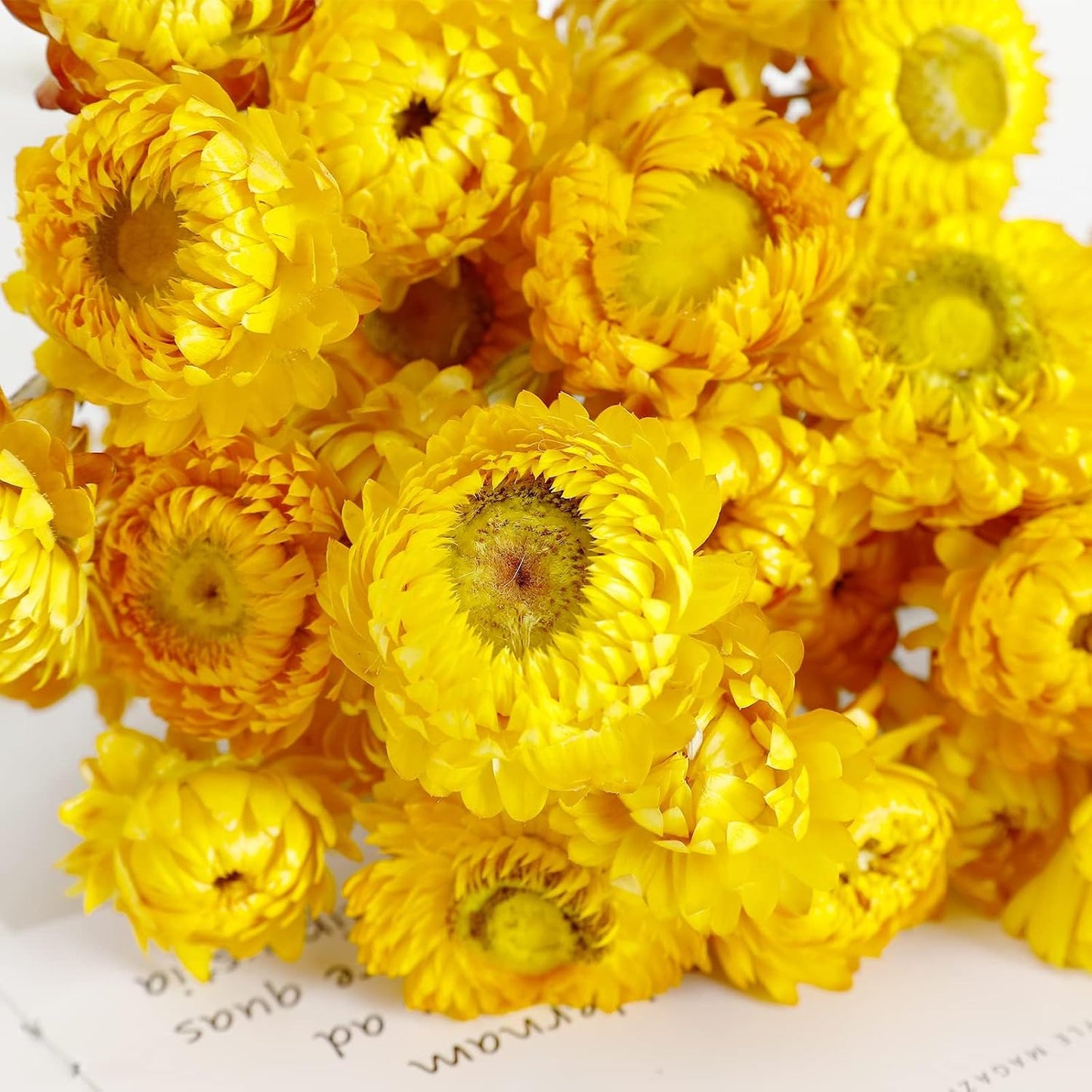 Dried Flower 40PCS Daisy Bouquet 100% Natural Chrysanthemum Dry Flower for Vase Home décor Party DIY Arrangement Wheat Straw Bulk（Yellow）