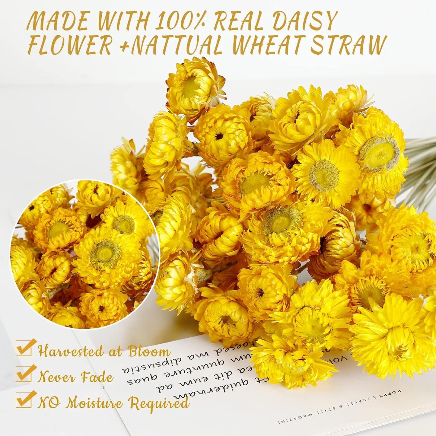 Dried Flower 40PCS Daisy Bouquet 100% Natural Chrysanthemum Dry Flower for Vase Home décor Party DIY Arrangement Wheat Straw Bulk（Yellow）