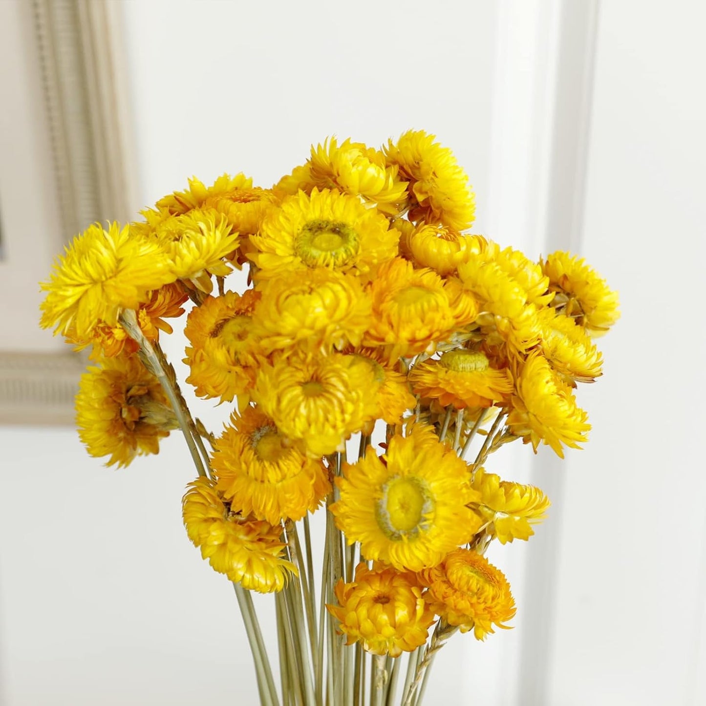 Dried Flower 40PCS Daisy Bouquet 100% Natural Chrysanthemum Dry Flower for Vase Home décor Party DIY Arrangement Wheat Straw Bulk（Yellow）