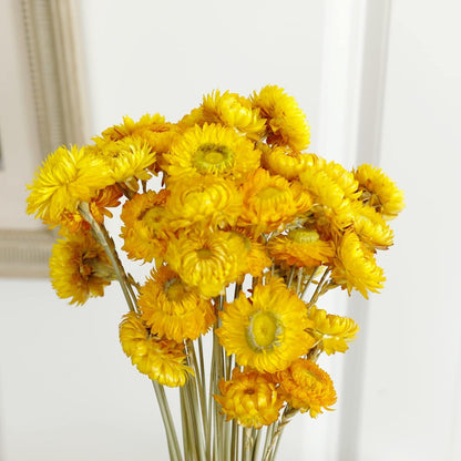 Dried Flower 40PCS Daisy Bouquet 100% Natural Chrysanthemum Dry Flower for Vase Home décor Party DIY Arrangement Wheat Straw Bulk（Yellow）