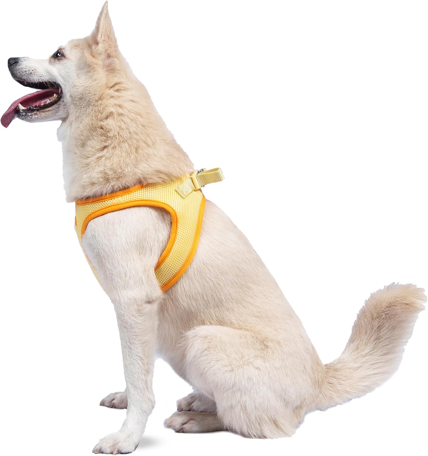 Yellow Dog Harness, Size Small; Easy Step-in Harness for Dogs; Breathable Mesh Fabric; Snap-Together, Pinch Release Buckle, Ring for Leash Attachment; Everyday Pet Apparel