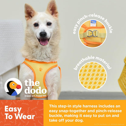 Yellow Dog Harness, Size Small; Easy Step-in Harness for Dogs; Breathable Mesh Fabric; Snap-Together, Pinch Release Buckle, Ring for Leash Attachment; Everyday Pet Apparel