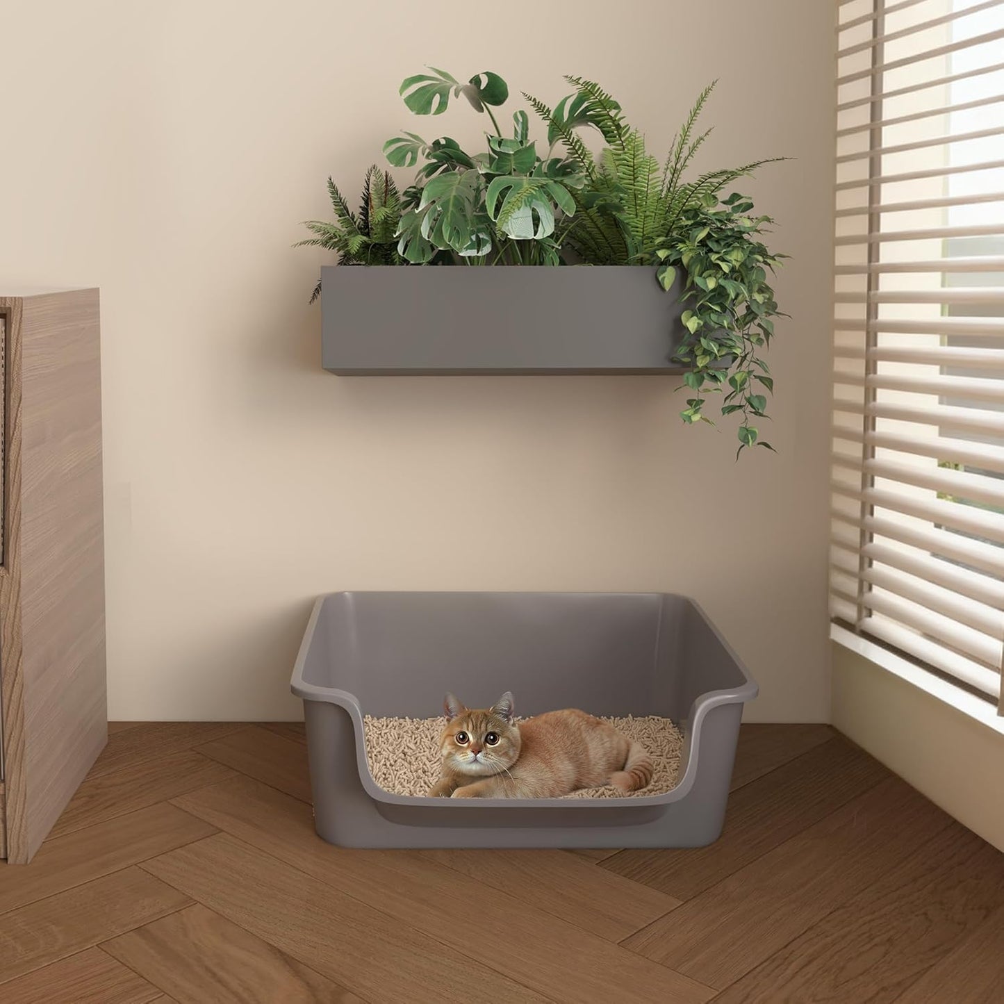 Open-Top Large High Sides Cat Litter Box with Low Entrance, Suitable for Small and Elderly Cats, Anti-Splash, 19.8” x15.6”x7.3” for Indoor Use (Grey（Moon Gray）)