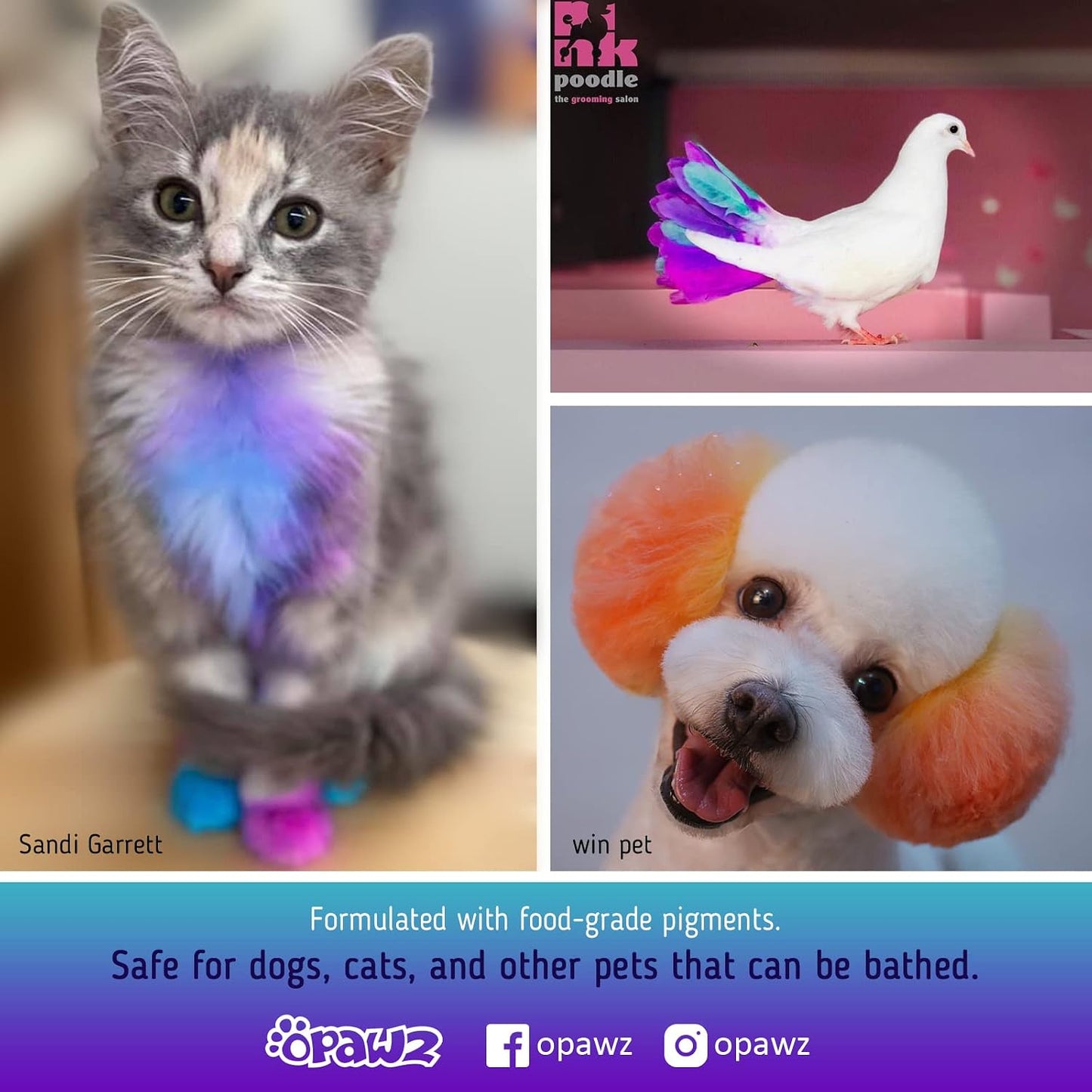 Semi-Permanent Dog Hair Dye, Food-Grade Pigment Dog Dye, Non-Toxic Pet Hair Dye for Dogs, Cats and All Pets Can be Bathed (Flash Yellow)