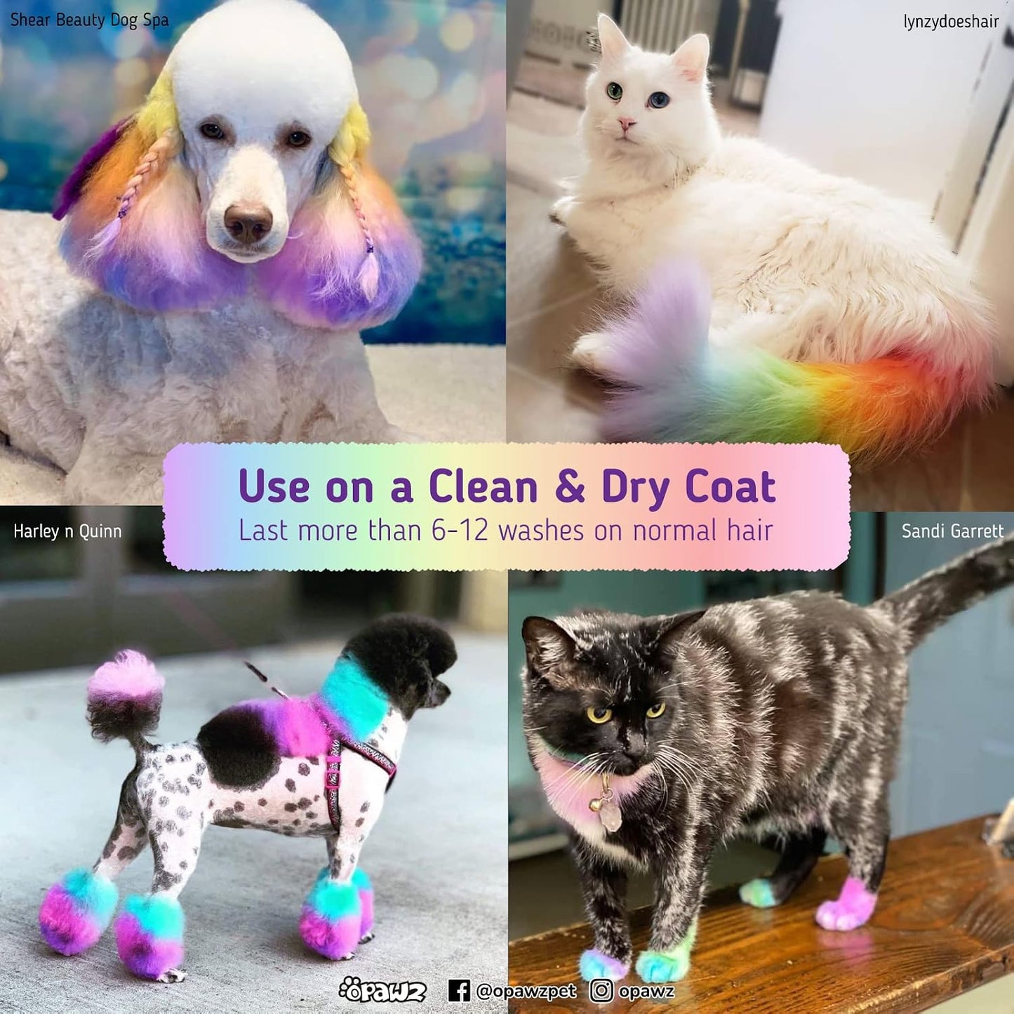 Semi-Permanent Dog Hair Dye, Food-Grade Pigment Dog Dye, Non-Toxic Pet Hair Dye for Dogs, Cats and All Pets Can be Bathed (Flash Yellow)