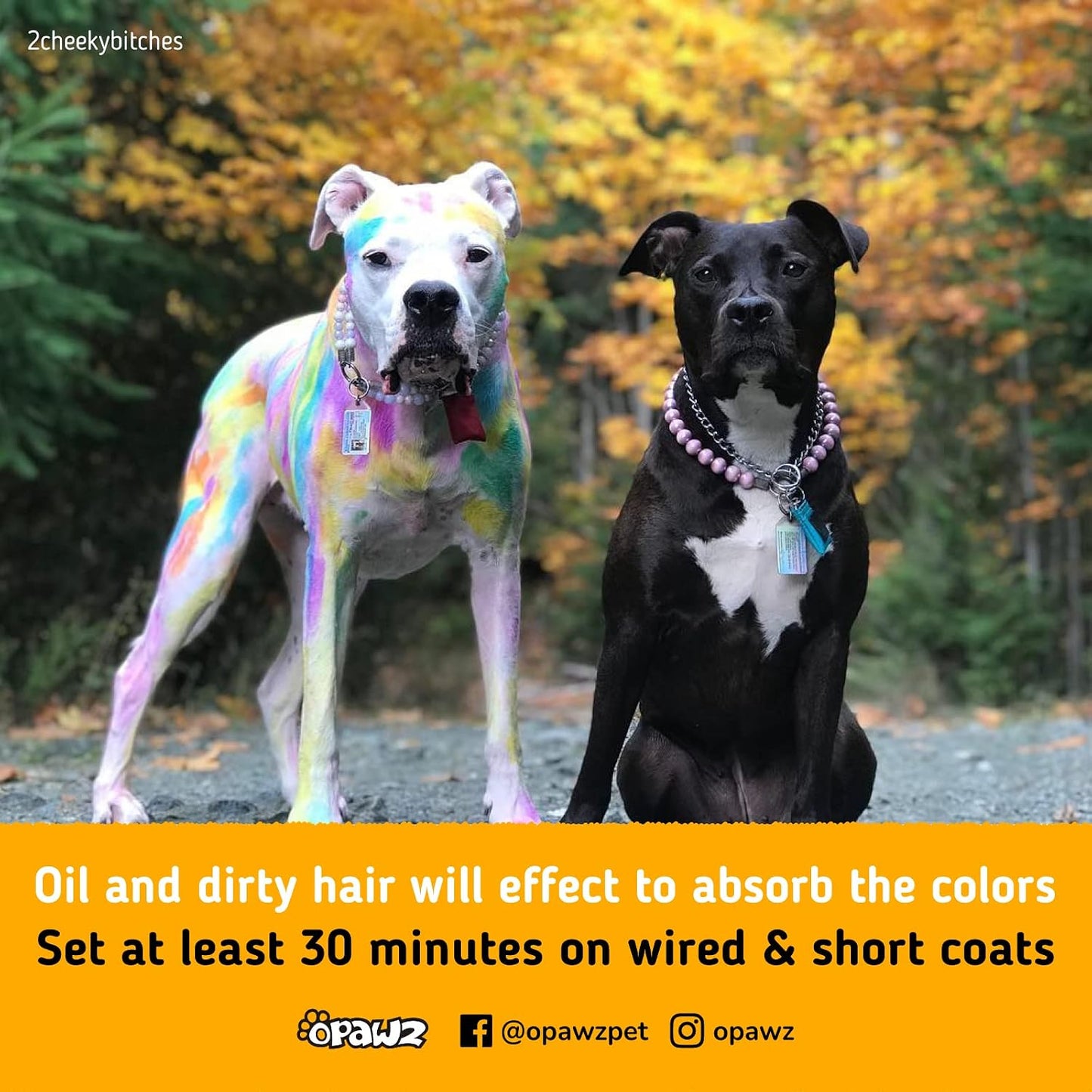 Semi-Permanent Dog Hair Dye, Food-Grade Pigment Dog Dye, Non-Toxic Pet Hair Dye for Dogs, Cats and All Pets Can be Bathed (Flash Yellow)