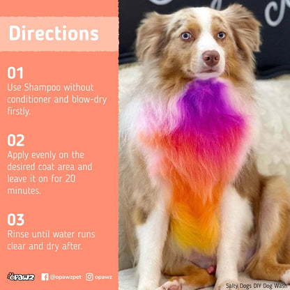 Semi-Permanent Dog Hair Dye, Food-Grade Pigment Dog Dye, Non-Toxic Pet Hair Dye for Dogs, Cats and All Pets Can be Bathed (Flash Yellow)