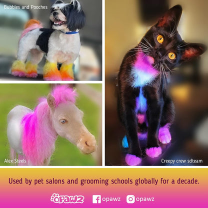 Semi-Permanent Dog Hair Dye, Food-Grade Pigment Dog Dye, Non-Toxic Pet Hair Dye for Dogs, Cats and All Pets Can be Bathed (Flash Yellow)