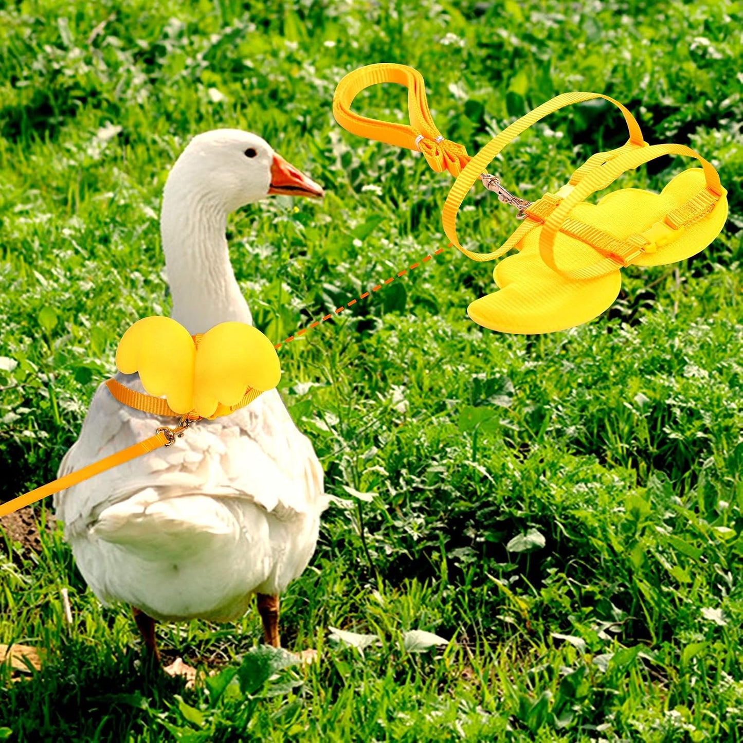Duck Walking Harness and Leash Chicken Duck Outdoor Training Rope Adjustable Rope for Pet Poultry Hen Cock (M, Yellow)